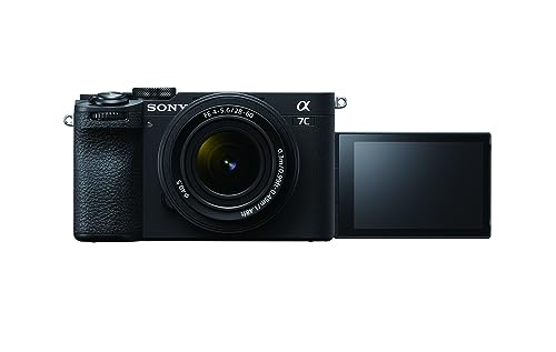 SONY α7Cii ミラーレス一眼 本体+おまけ【ショット数573枚】 71hZMyLGYaL._AC_UL210_SR210,